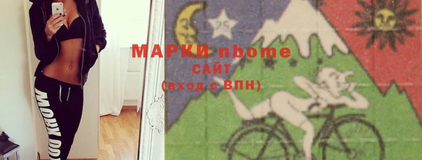 спиды Ельня