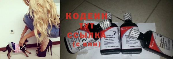 прущие грибы Зеленокумск