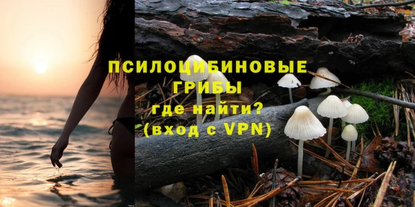 синтетический гашиш Алексеевка