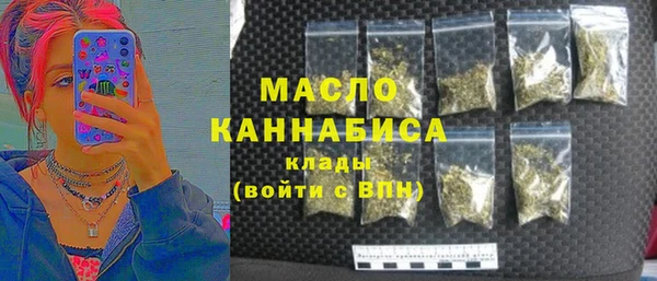 винт Абаза