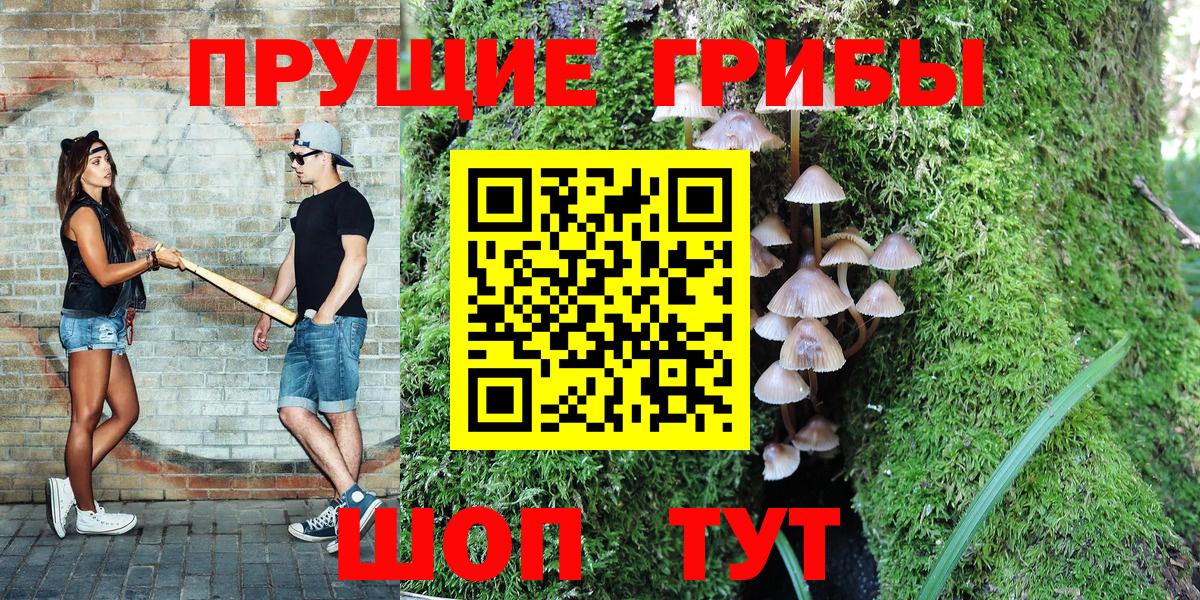 Псилоцибиновые грибы Psilocybe  Вход с VPN  дарнет шоп  Архангельск 
