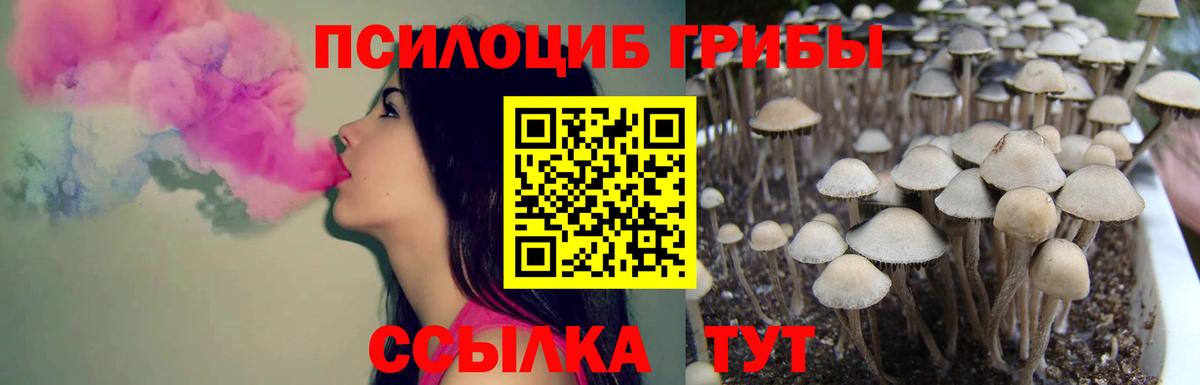 Псилоцибиновые грибы мухоморы Архангельск